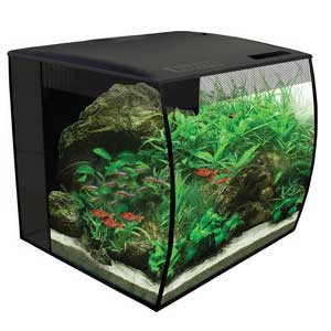 Nano Aquarium Tank