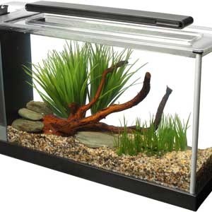 Fluval Spec 5 Gallon Aquarium